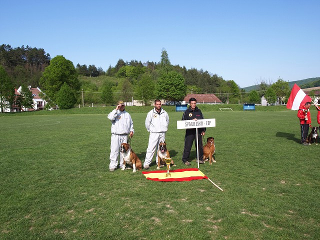 www.atibox.net * www.euroboxer.eu * www.boxergenealogia.eu